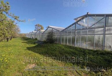 Terreno Agricolo Pula [A4219058]