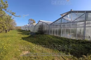 Terreno Agricolo Pula [A4219058]