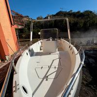 Barca con motore 25 cv con carrello non omologato