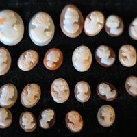 lotto di cammei in conchiglia