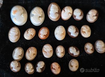 lotto di cammei in conchiglia