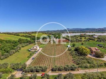 Terreno di 5400 m² a Lanuvio