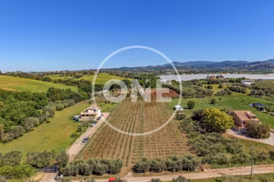 Terreno di 5400 m² a Lanuvio