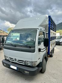 NISSAN CABSTAR TRASPORTO ANIMALI VIVI
