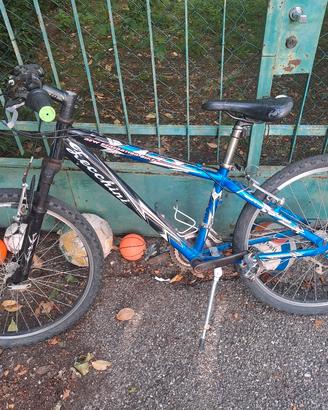 bici 24"