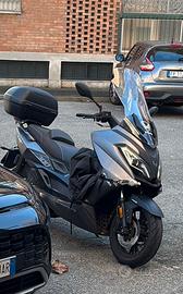 Cupolino Wottan Motor Storm S 300