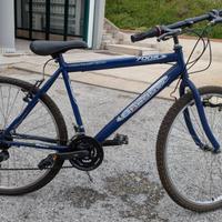 Mountain bike uomo 26