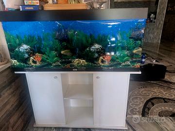 acquario  completo 250 litri con mobile  e accesso