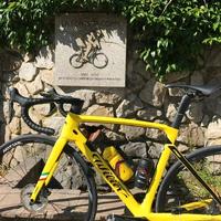 Bici da corsa Wilier 110PRO