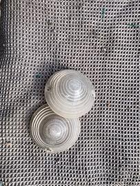 FIAT 500 D anno 1964 fanalini anteriori bianchi