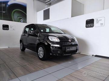 FIAT Pandina - Pandina 1.0 FireFly 65 CV Hybrid Ic