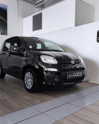 FIAT Pandina - Pandina 1.0 FireFly 65 CV Hybrid Ic
