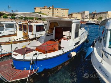 Pilotina San Prospero 7,5 metri 90 cv linea d'asse