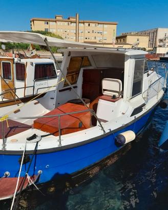 Pilotina San Prospero 7,5 metri 90 cv linea d'asse