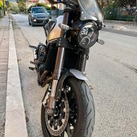 Benelli leoncino 500