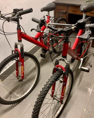 Mountain bike Logan - Sannino rossa