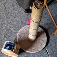 antistress per gatti 