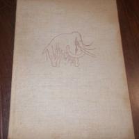 ALLA SCOPERTA DEI MAMMUTH 1962 EDITORI RIUNITI