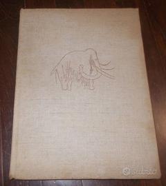 ALLA SCOPERTA DEI MAMMUTH 1962 EDITORI RIUNITI