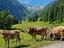 Immagine 12