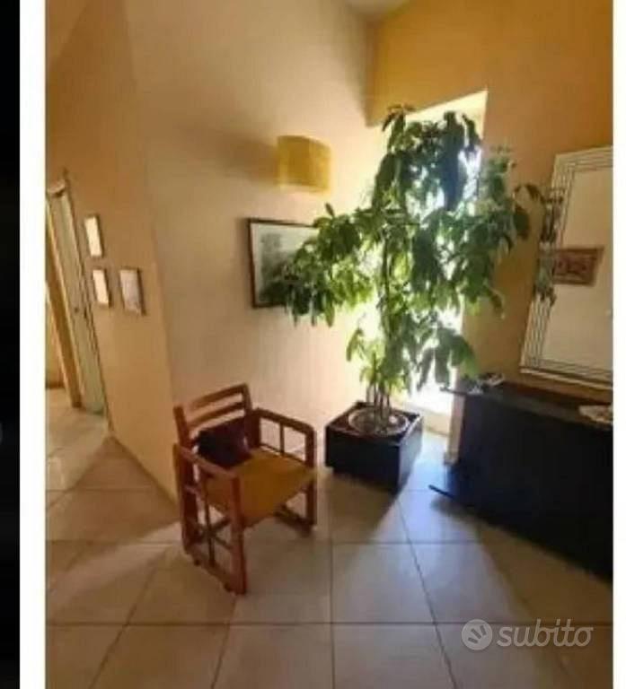 Appartamento – Capo d'Orlando, Muscale, San Martino - Vista 4