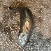 espanzione scalvine e artigianale