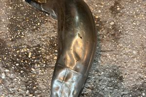 espanzione scalvine e artigianale