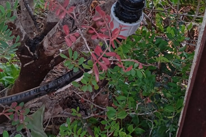 Villa panoramicissima