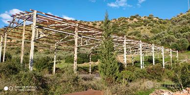 PU.L.G. 5/2023 Trib Patti