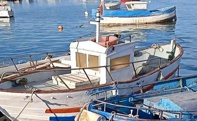 Barca con motore Lombardini 11 cavalli