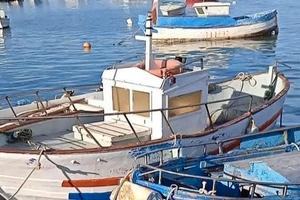 Barca con motore Lombardini 11 cavalli