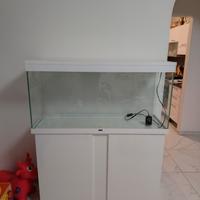 Acquario ciano 300 l