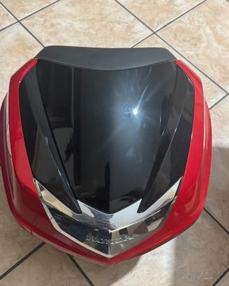Bauletto sh