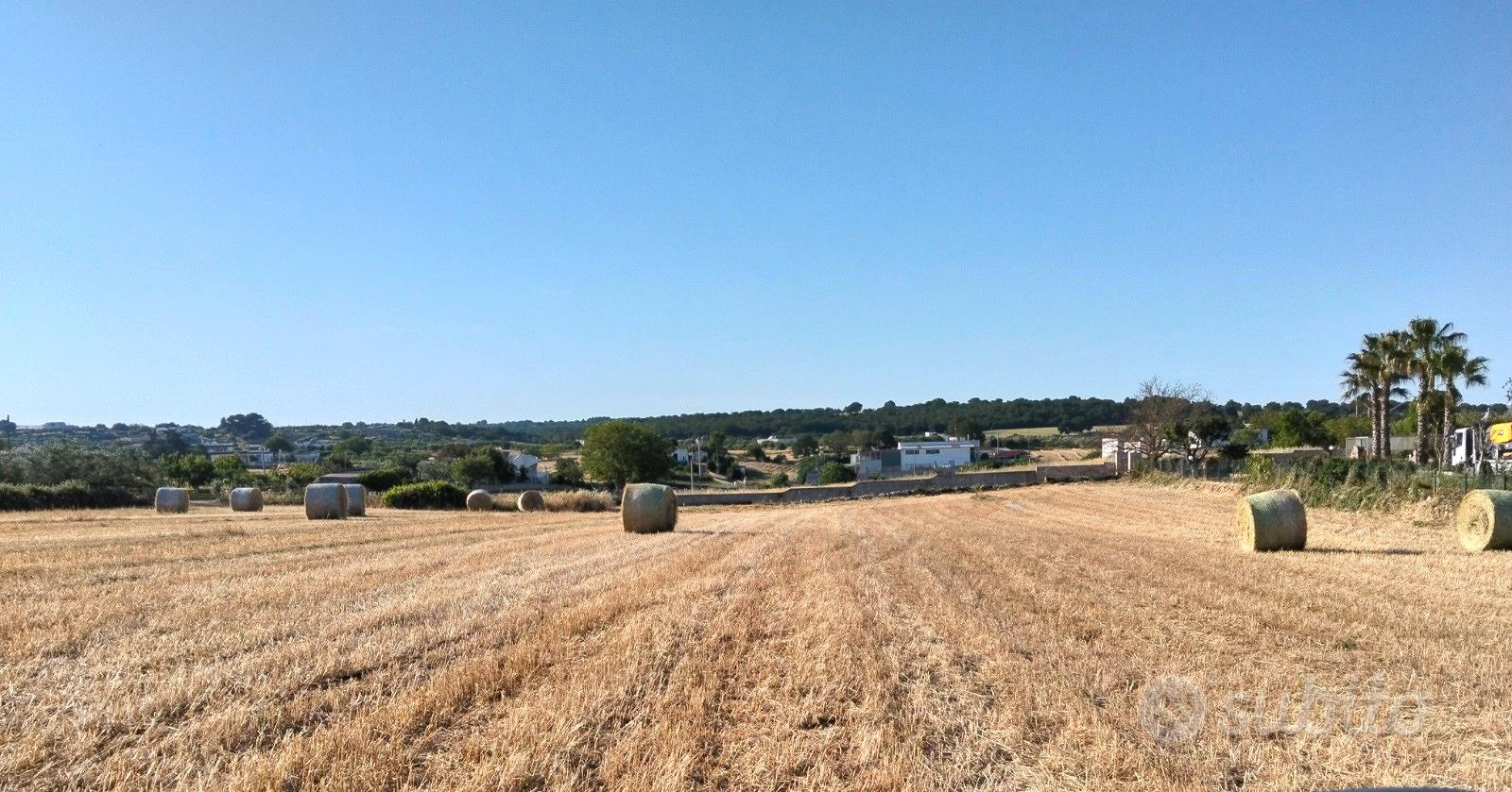 Terreno agricolo i - martina franca - Vista 5