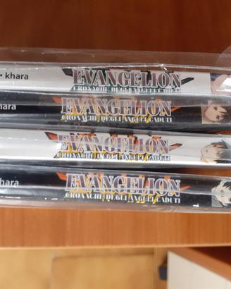 Evangelion – Cronache degli angeli caduti (manga)