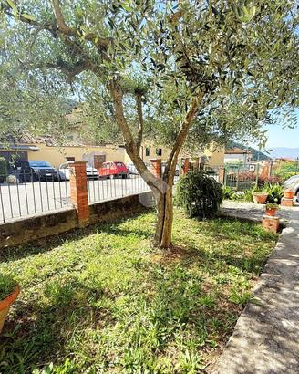 4 LOCALI A MONTALE
