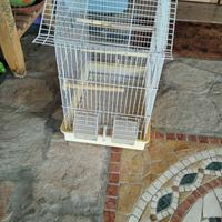 Gabbia per uccellini