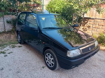 Y10 1,3 asi cat elite 