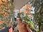 Immagine 19