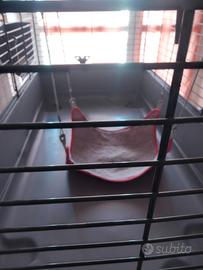 Gabbia per conigli,cavie