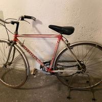 bicicletta Vianelli