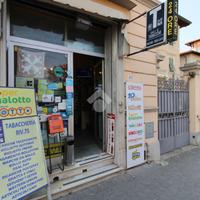 ATTIVITÀ A PISA