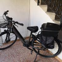 Bicicletta elettrica Olympia Magnum