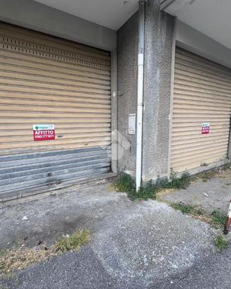 NEGOZIO A RECCO