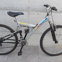 bicicletta uomo 