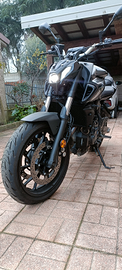 Mt 07