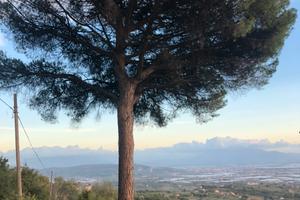 Locale deposito cat c2 e Terreno agricolo