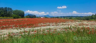 Terreno fabbricabile