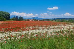 Terreno fabbricabile