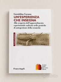 UN’ESPERIENZA CHE INSEGNA